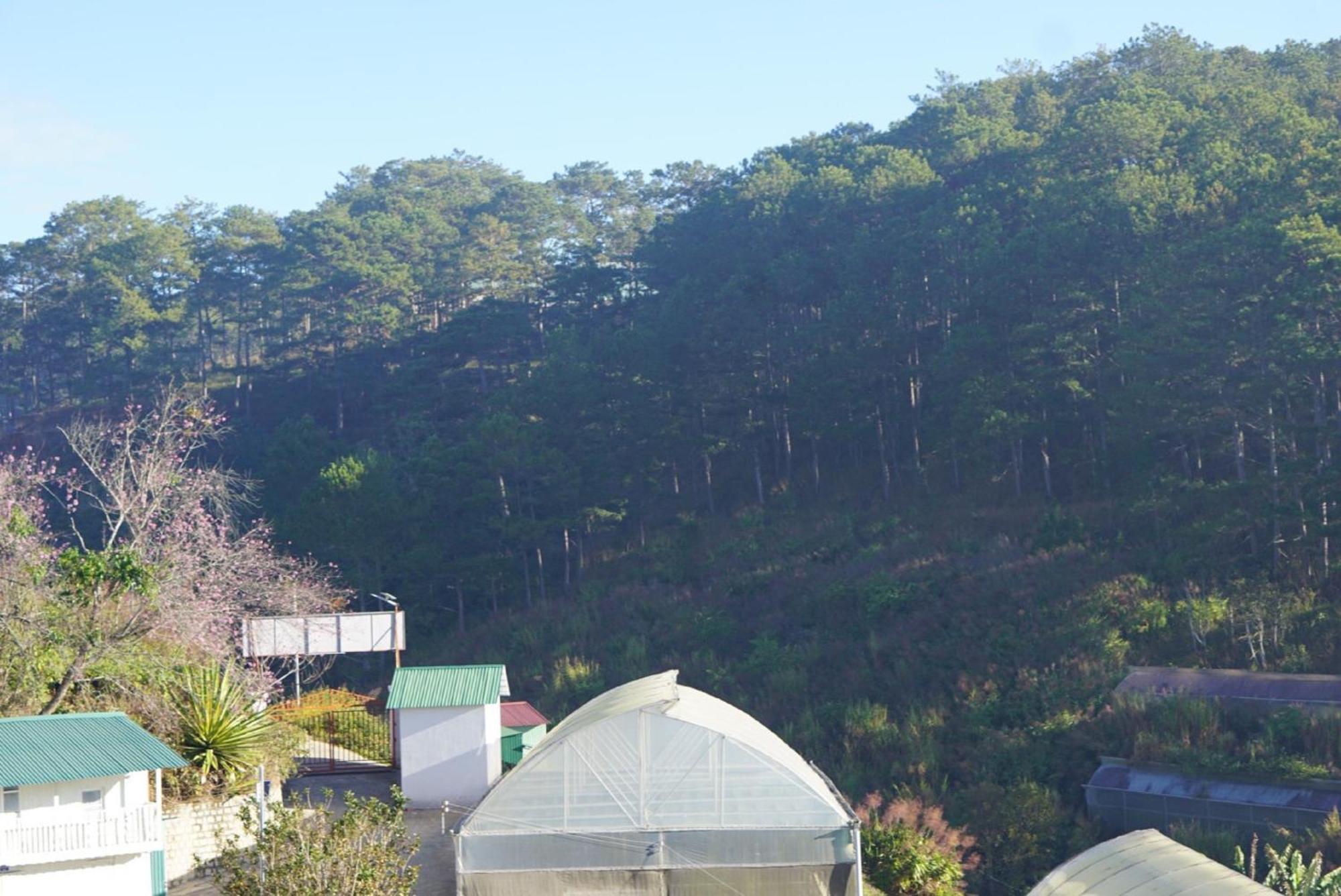 Lung Chung House Da Lat Exterior foto